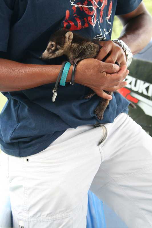 Mexico & Guatemala 2010 - 0975